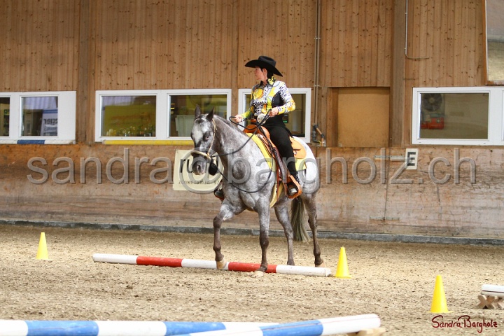 26-ApHC GT_236.jpg